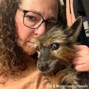 Meet your Posher, Tammy